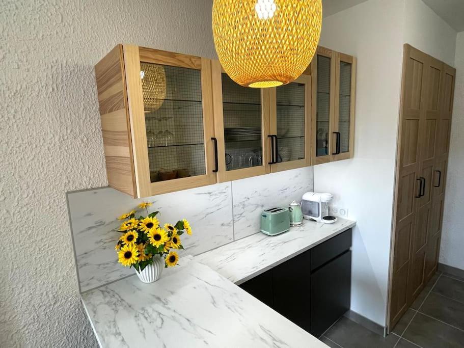 Pause Cathare Apartment Chalabre Ngoại thất bức ảnh
